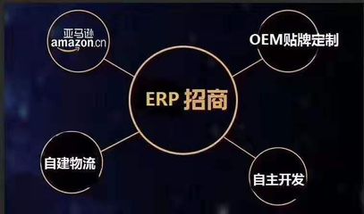 跨境电商亚马逊ERP系统代理定制招商加盟